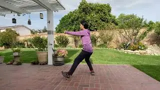 Taichi Chen Style Short form back