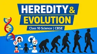 Heredity and Evolution l Lecture 2 | Class 10 |  Science | CBSE | Free Education