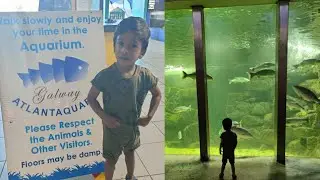 Enjoyed Galway Atlantaquaria🦞🐟🦑Ireland&rsquo;s Largest Native Species Aquarium #salthillbeach #summer2022