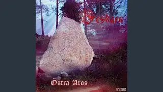 In the Mist of Fate