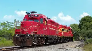 [ 4k ] FMID Action Galore in Central Florida w/ some CSX & Amtrak! CF Railfanning 10/2/23