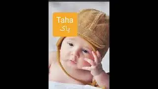 Taha name meaning in urdu|islamic name for boys|whatsupp status#whatsuppstatus #islamic #name