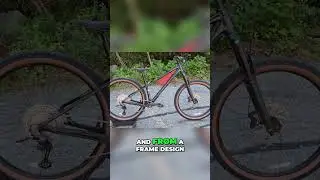 Trek Roscoe: The Ultimate Playful Hardtail Bike #shorts