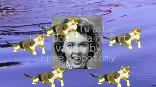 Hot Dogs Half Off - It's a Twister! (Official Music Video) Collaboration with Free Lobotomy