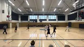 Amador - Newark Q1