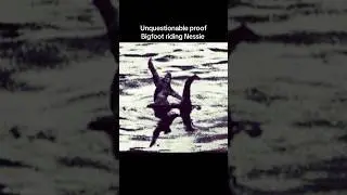 #bigfoot #lochnessmonster #sasquatch #nessie #skunkape #photograph #proof ￼#yeti