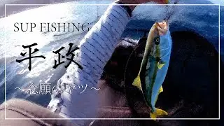【SUP(サップ）ヒラマサ（ヒラゴ）釣れました。】今シーズン初。念願のヒラマサ（ヒラゴ）が釣れました。その様子を紹介いたします。
