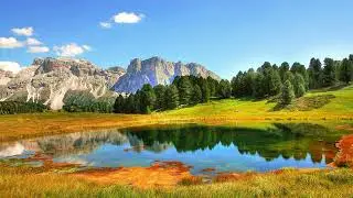 Cozy Nature Escape &ndash; Relaxing Music for Studying & Reading
