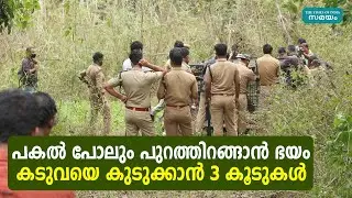 പകൽ പോലും പുറത്തിറങ്ങാൻ ഭയം; കടുവയെ കുടുക്കാൻ 3 കൂടുകൾ | Tiger | Pulpally | Seethamount | Wayanad |