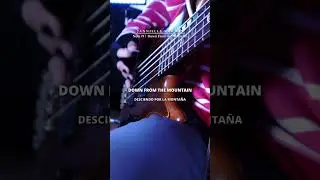 Allen Lande「 Down From the Mountain 」bassCover