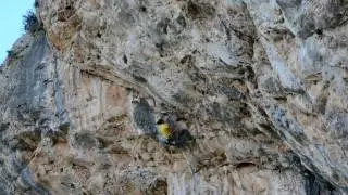 Climbing in Murcia : Ninfa Embrutacias 8a