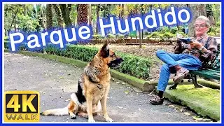 【4K】WALK Mexico CIty CDMX 4k video SLOW TV travel vlog
