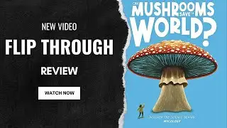 Can Mushrooms Save the World? Discover the science behind mycology (The Big Questions Answered)