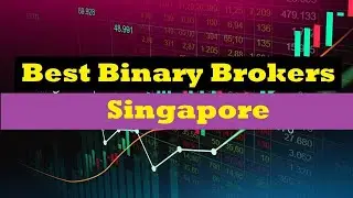 the best binary brokers in Singapore | Binary Brokers 2023 - 2024
