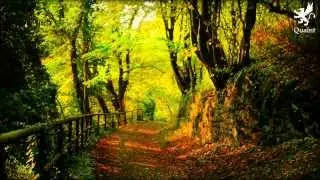 [QuaintMusic] Pure Mini Mix - David McGuiness.