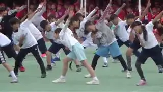 Japanese International School Undokai 8/8