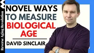 DAVID SINCLAIR 