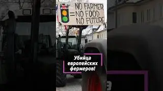 Как выжить европейским фермерам в суицидальной зеленой повестке?
