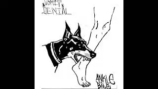 VOMIT DENIAL - ANKLEBITE (2025) | Straightedge Skatepunk from St. John&rsquo;s