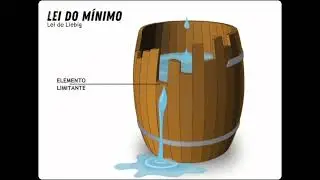 Lei de Liebig (Lei do M&iacute;nimo), formulado por Justus von Liebig