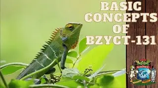 Basic Concepts of BZYCT-131