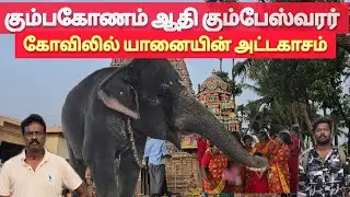 கும்பேஸ்வரர் கோவிலுக்கு வரும் பக்தர்களுக்கு யானையின் செயல்#tamil #srilanka #colombovicky 