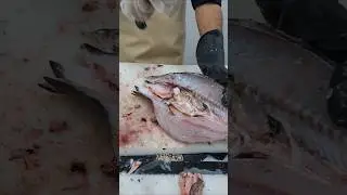 Fish cutting skills #grilledfish #howto #viral #restaurant #fishfillet #amazing #fishvideo #fypシ