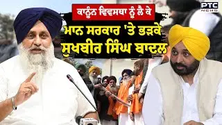 Punjab ਦੀ ਕਾਨੂੰਨ ਵਿਵਸਥਾ ਨੂੰ ਲੈ ਕੇ ਮਾਨ ਸਰਕਾਰ 'ਤੇ ਭੜਕੇ Sukhbir Singh Badal | Punjabi News | Jalandhar