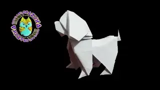 Origami cachorro
Instruções em Português - PT/BR