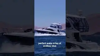 LUXURY YATCH RIDES IN PARACAS, PERU. #yatchlife #birdwatching #luxurytrips