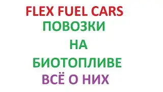 FLEX FUEL CARS
