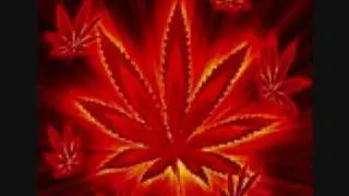 chicovar -  lady cannabis