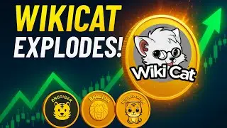 🚀 Wikicat Explodes ! | Prophetic Dreams of BNB Lion, BNB Tiger, Baby BNB Tiger Coins 🐱🔥