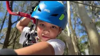 TreeTop Adventure Sydney | Best Outdoor Activities for Kids 🌳🧗&zwj;♀️