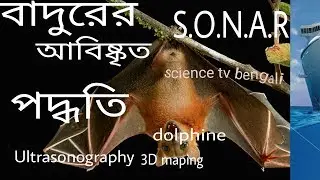 How bats flys in dark.How ultrasonography and SONAR work.(BENGALI)