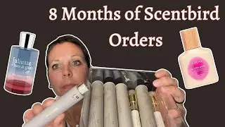 8 Months of Scentbird Orders