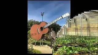 DUY&Ecirc;N NỢ T&Igrave;NH PHAI ( SL TROMS 26M80C)_S&Aacute;NG T&Aacute;C : T&Acirc;N CAO _HO&Agrave; &Acirc;M & TR&Igrave;NH B&Agrave;Y : T&Acirc;N CAO.
