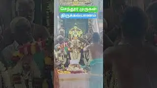 Thirukalyanam in Chendur Murugan Temple | #murugan #trending #periyasamymedia #live #tamil #temple