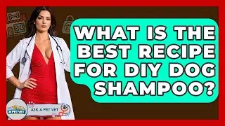 What Is The Best Recipe For DIY Dog Shampoo? - Ask A Pet Vet