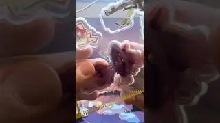 Satisfying click sounds from pokemon box #pokemon #asmr #pokemoncards #pokemonfan