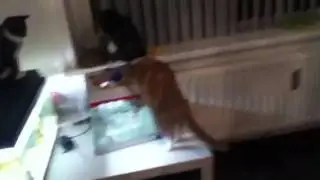Nina playing with water