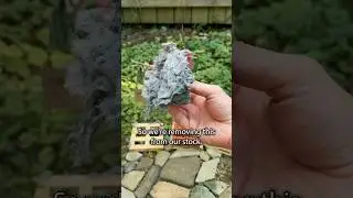 setting up a security cam for our bird nest store