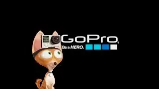GoPro: The Secret Life of Pets