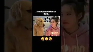 Only One Smile Can Melt My Heart ❤️ #dog #smile😍 #viral #trending #shorts