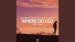 Where Do I Go (.breezy Remix)