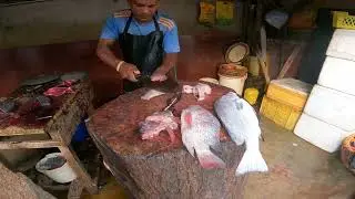 Tilapia Fillet Mastery Expert Techniques for Perfect Cuts