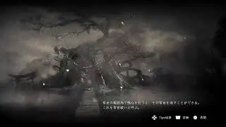 明日早いためちょっとだけ😄 おじさん 難行5Ver 仁王2 奈落獄 深部26～ 仁王3に向けて