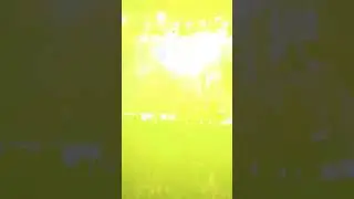 Thaikudam bridge Delhi performance live #fishrock