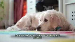Pet Medical Center | Ames | 515 232 7204