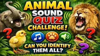 Animal Sound Quiz Challenge | Can You Identify Them All?